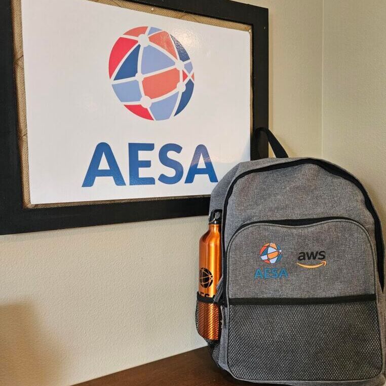 20250708_120827 grey AESA backpack